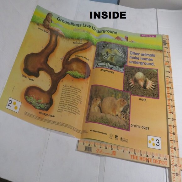 Dinosaurs & Groundhog Posters (7) EXTRA LARGE LAMINATED and non lam. Classroom - Picture 11 of 13